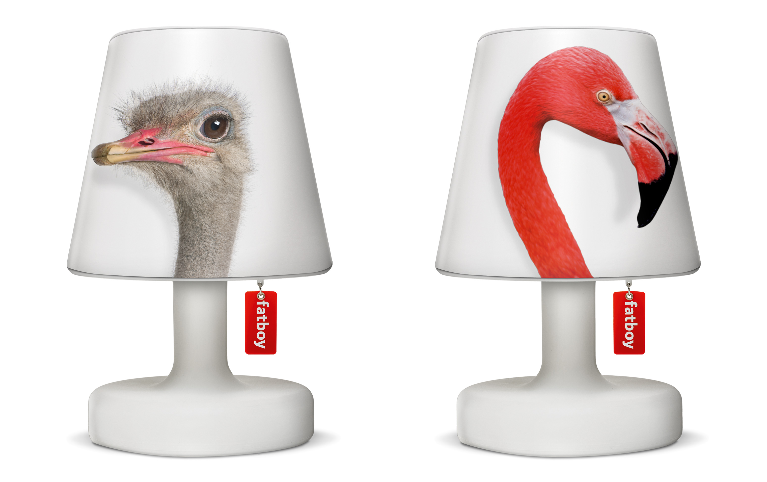 04-Dieren-Cappies
