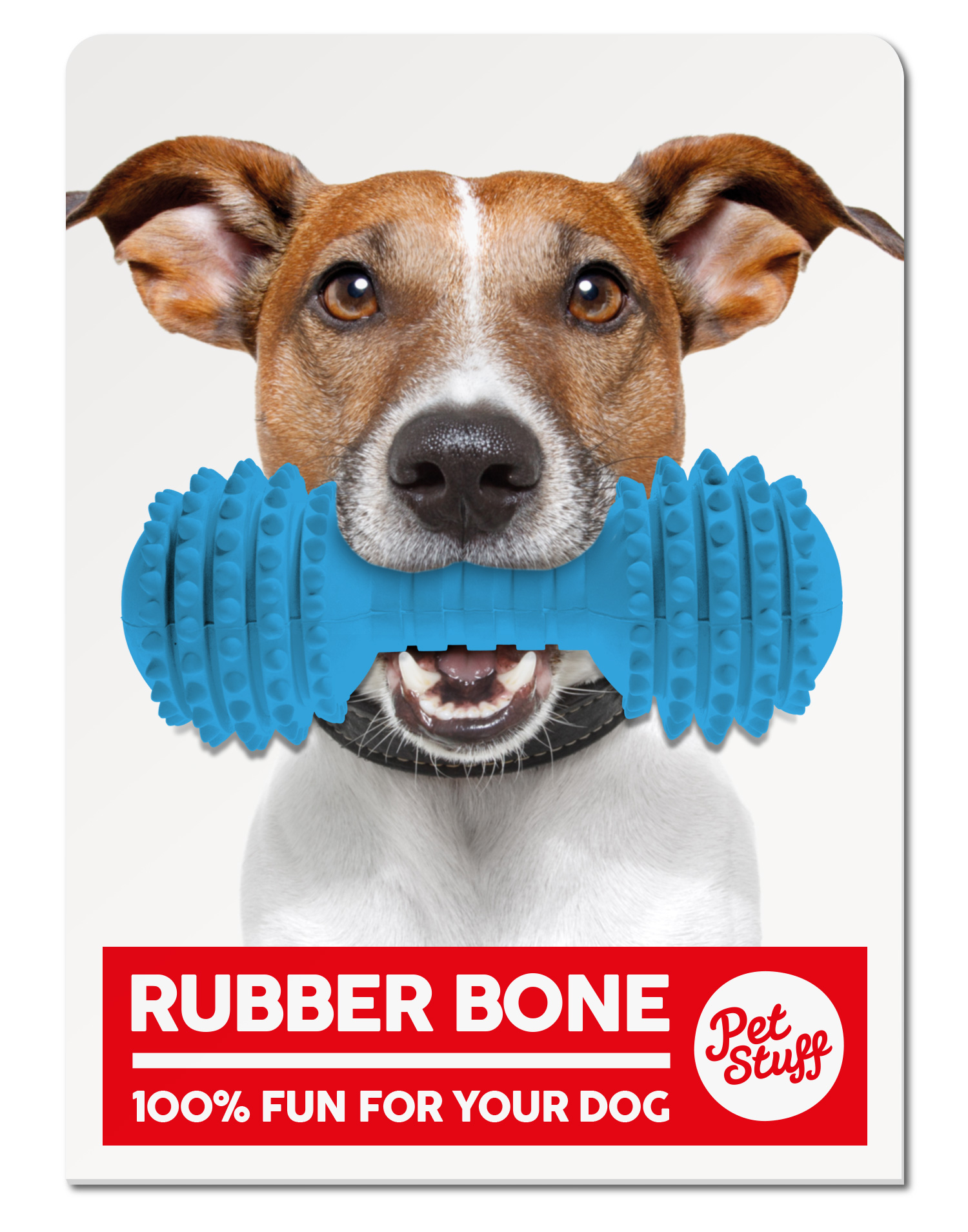 01_PACKAGING-RANGE-CONCEPT-RUBBER-BONE_01