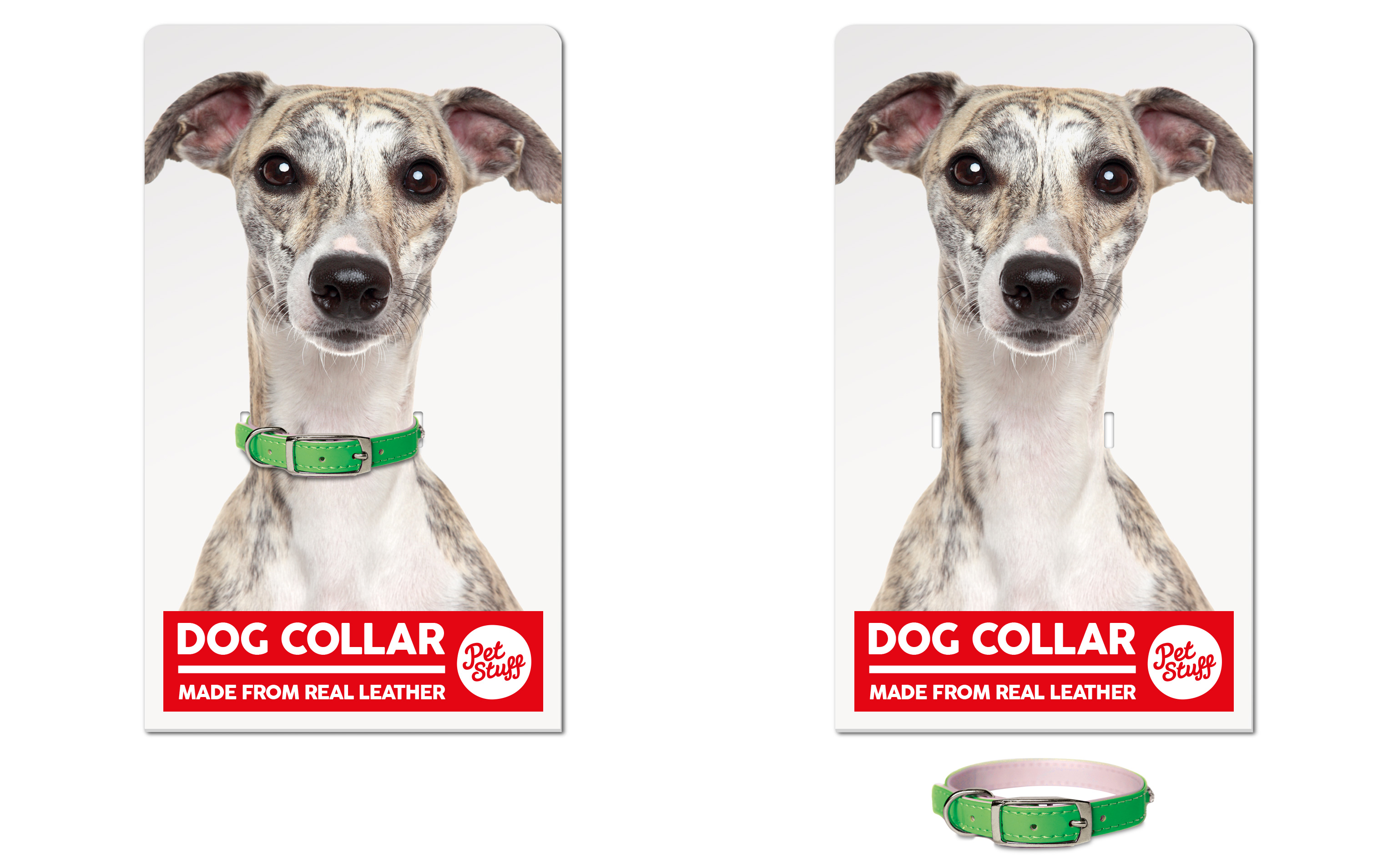 03_PACKAGING-RANGE-CONCEPT-DOG-COLLAR