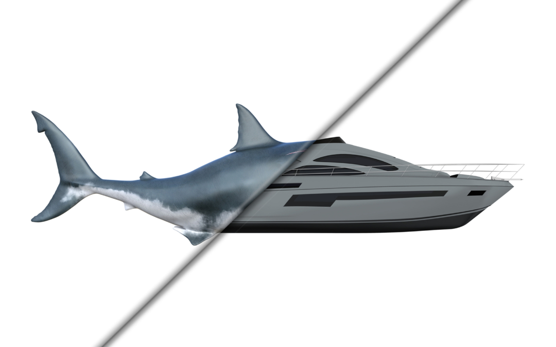 Selected Pentawards 2022 – Bekkers Yachts  3D give away packaging
