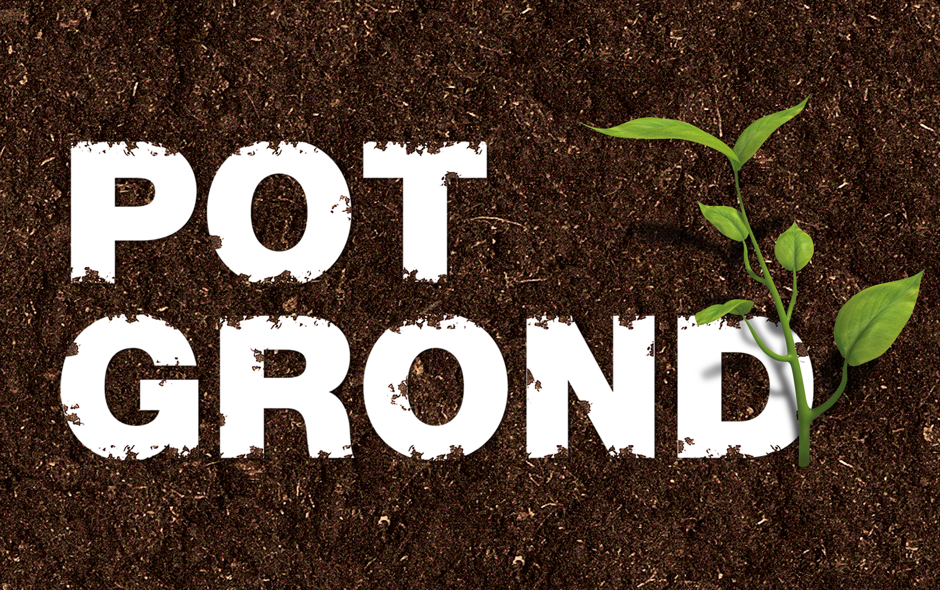 INTRATUIN-POTTING-SOIL-00