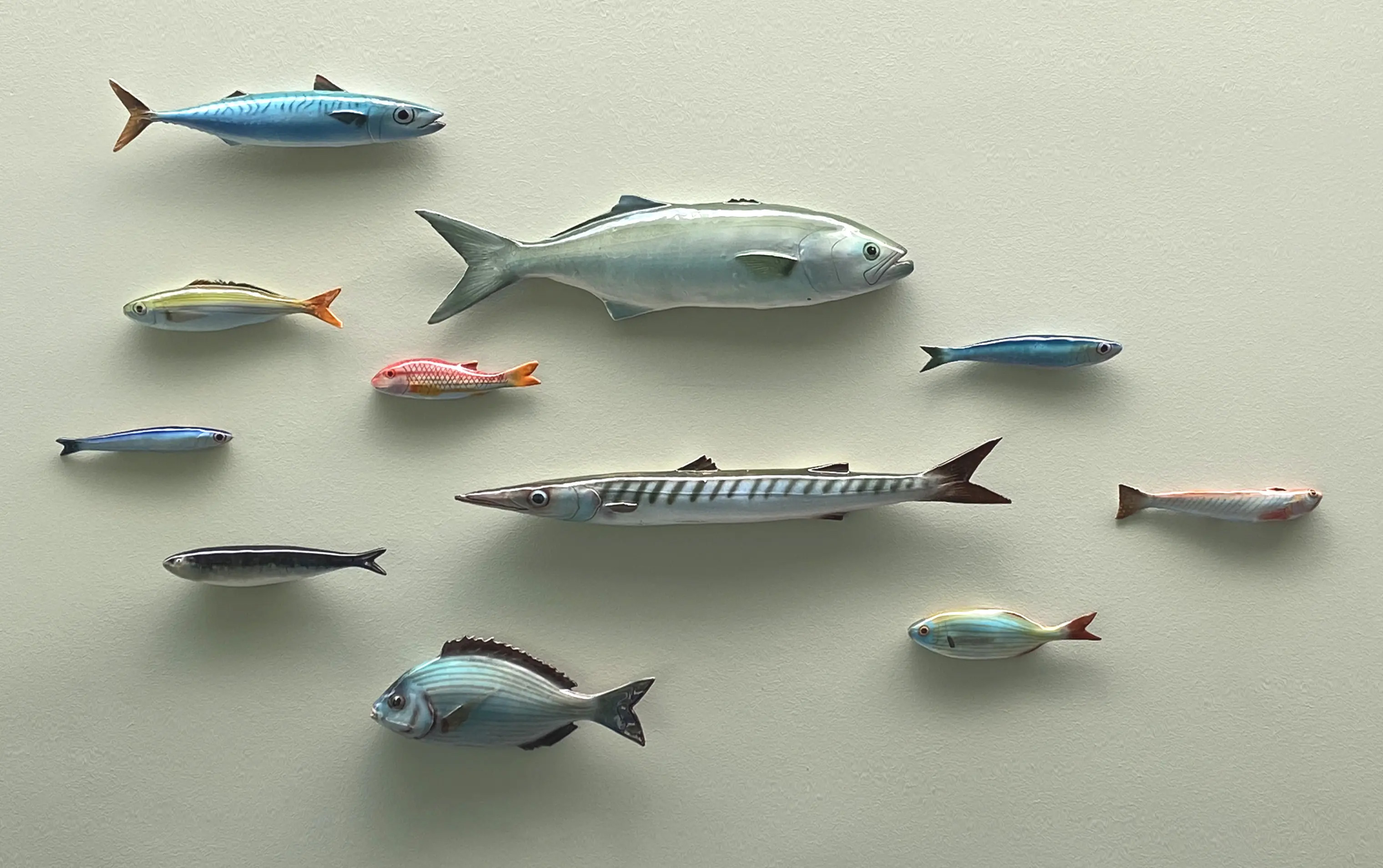 FRESHFISH-1
