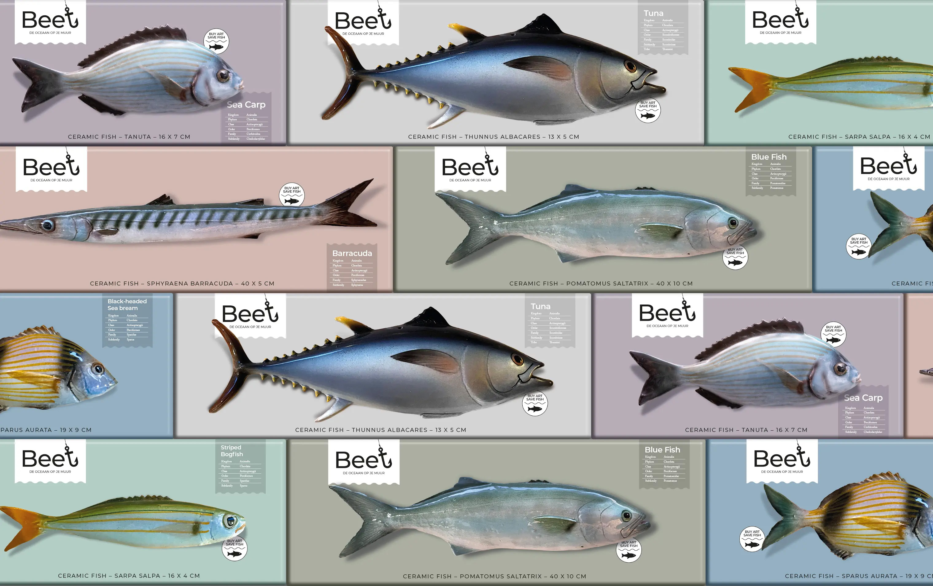 FRESHFISH-3